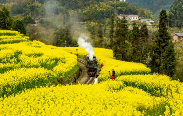 Jiayang Small Train